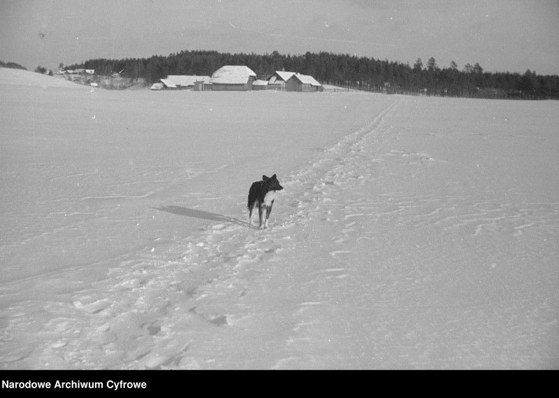 image.from.unit.number "Niemenczyn"