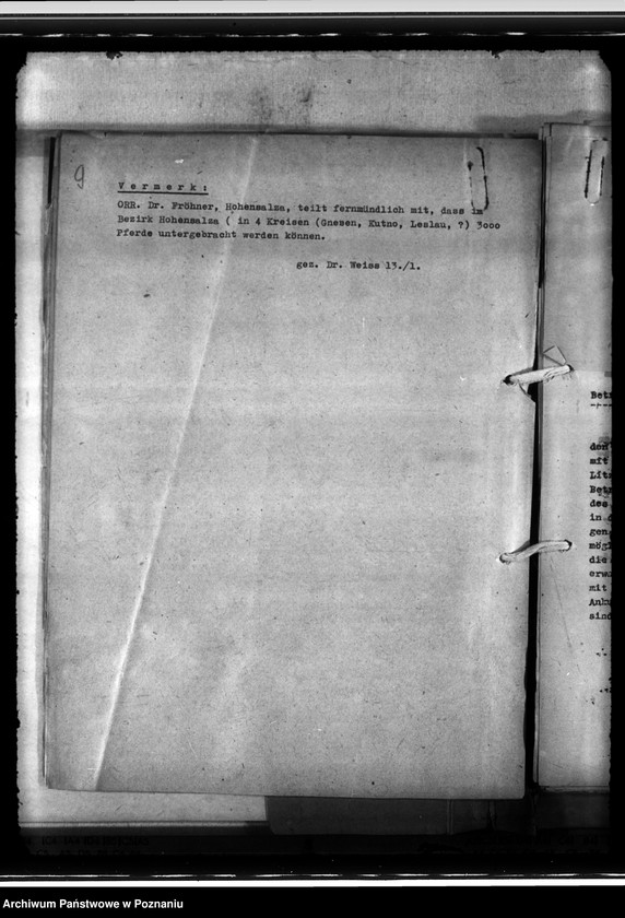 Obraz 13 z jednostki "Einfuhr von Tieren aus den besetzten Ostgebieten - auch der Schwarzmeerdeutschen"