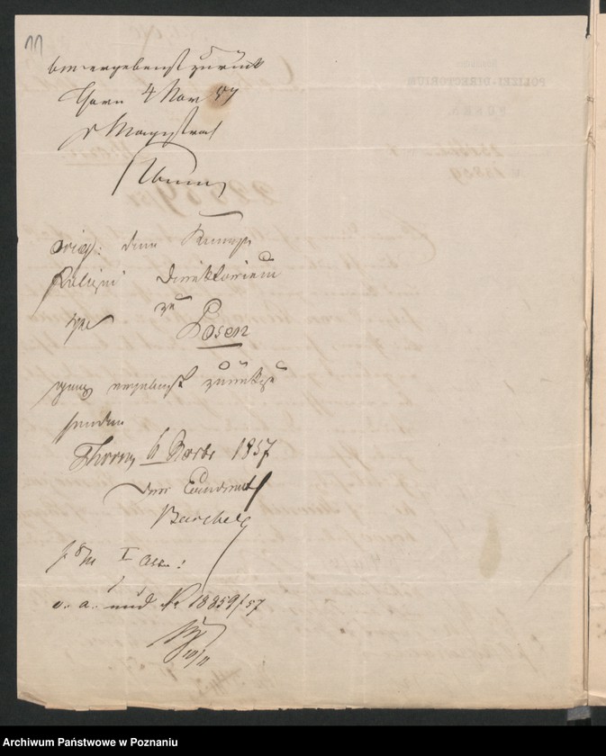 Obraz 14 z jednostki "A. betr. Josef Niemojewski, Gutsbesitzer"