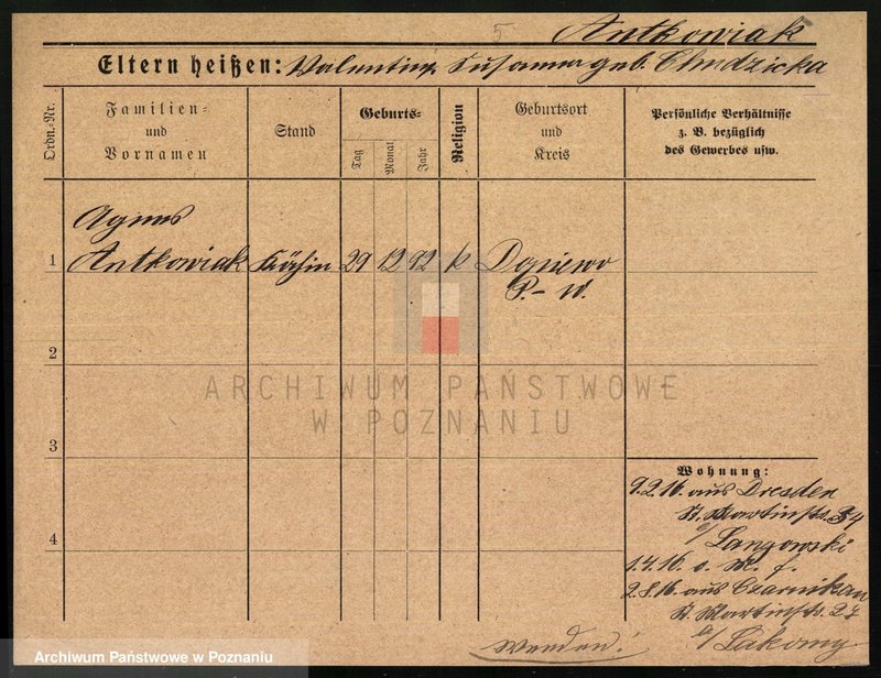 Obraz 8 z jednostki "Antkowiak (samotne kobiety) - Anzuhn"