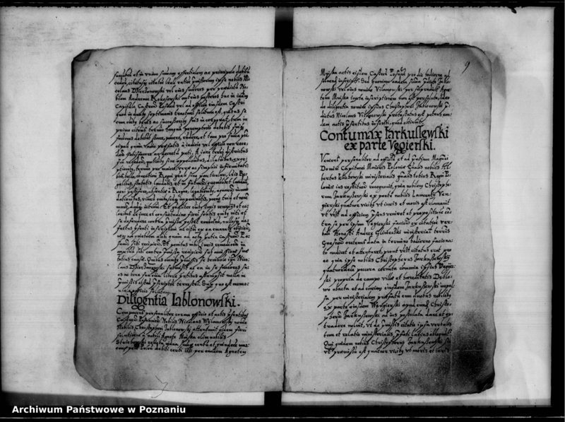 Obraz 12 z jednostki "Inscriptiones, relationes [inducta]"