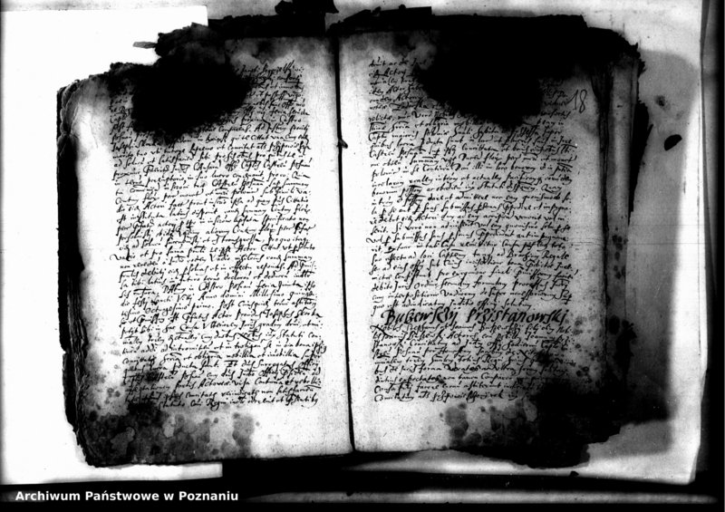 Obraz 20 z jednostki "Decreta officii [inducta]"