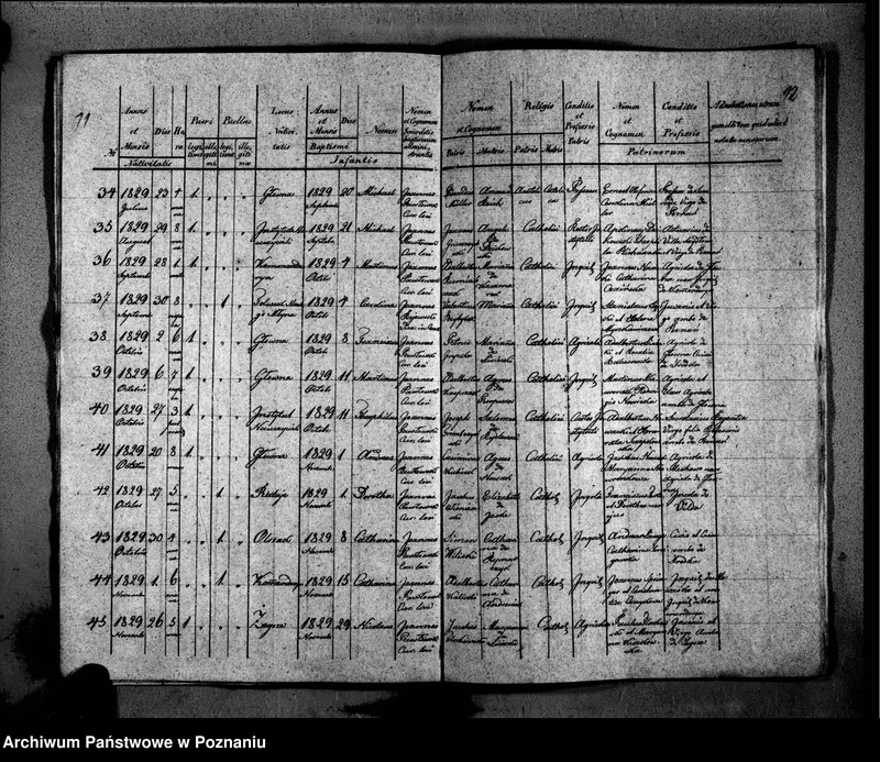 Obraz 10 z jednostki "Duplikat libri baptisatorum, copulatorum, mortuorum"