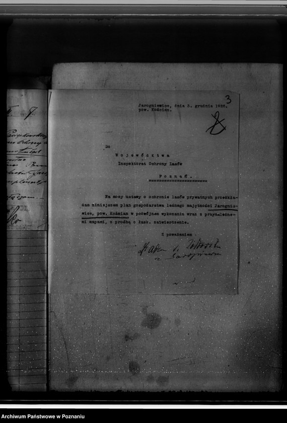 Obraz 7 z jednostki "Gospodarka w lasach majątku Jarogniewice powiat kościański"