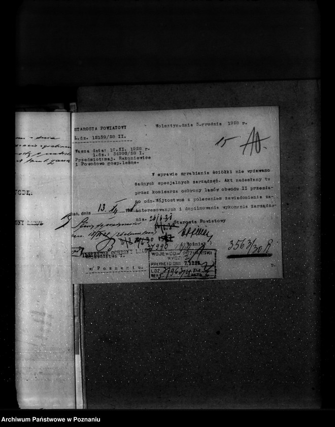 Obraz 19 z jednostki "Majętność leśna Powodowo powiat wolsztyński"