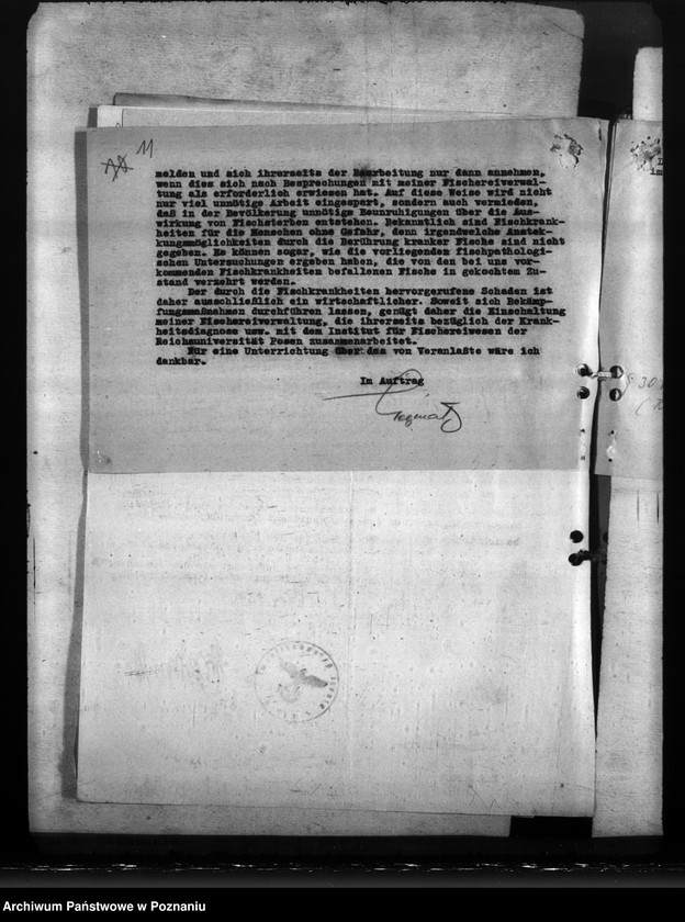 Obraz 15 z jednostki "Wasserversorgung. Kanalisation"