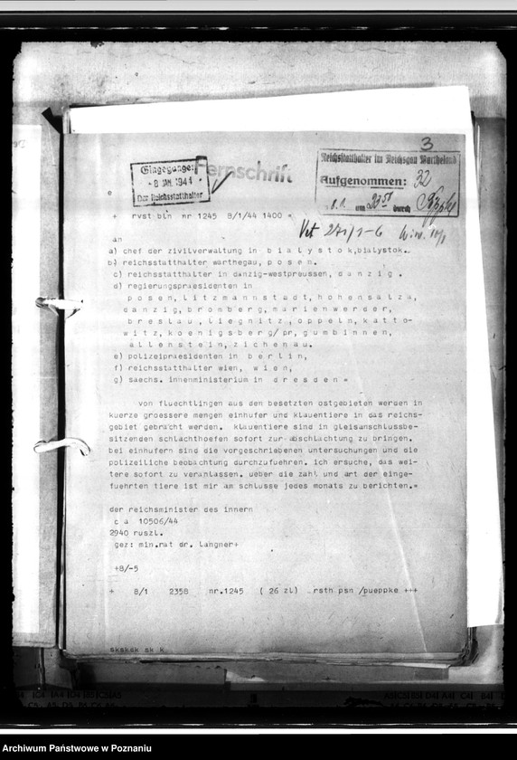 Obraz 7 z jednostki "Einfuhr von Tieren aus den besetzten Ostgebieten - auch der Schwarzmeerdeutschen"