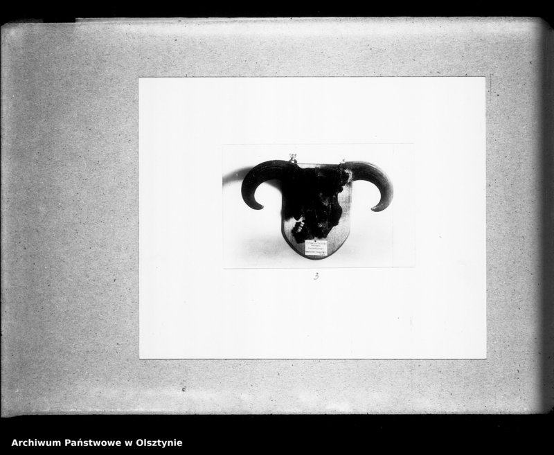 image.from.unit.number "Preussisch Holland, Oberländischer Geschichtsverein"
