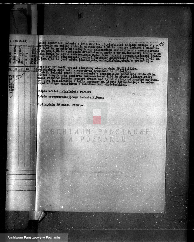 Obraz 20 z jednostki "Gmina Piorunów powiat turecki /nadzór nad gospodarką leśną/"