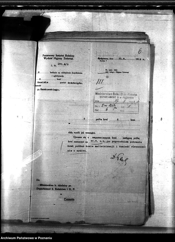 Obraz 10 z jednostki "Nosacizna - Grudziądz"