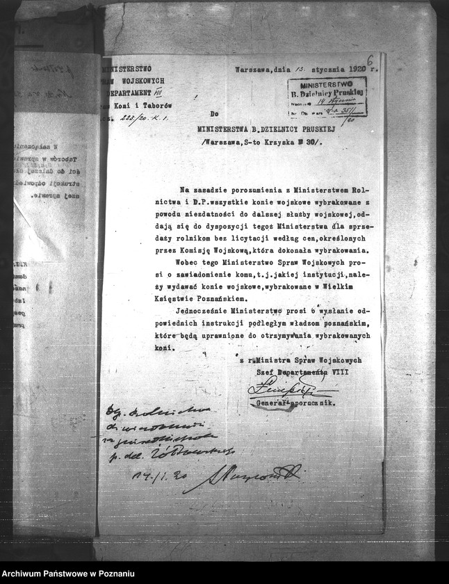 Obraz 10 z jednostki "Konie"