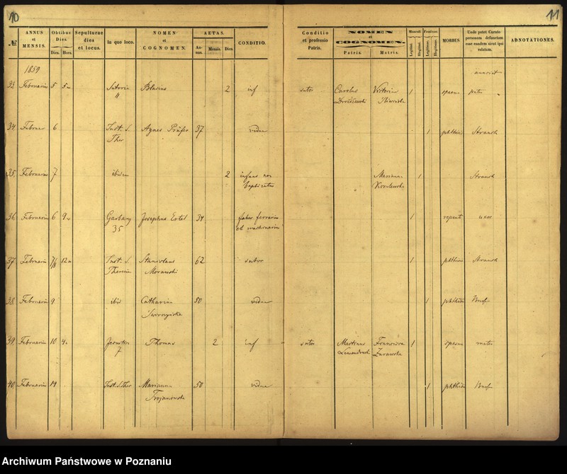 Obraz 8 z jednostki "Księga zgonów"