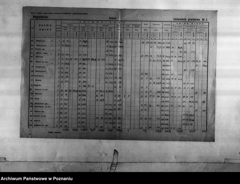 Obraz 10 z jednostki "Statystyka produkcji rolnej - zestawienie z powiatu żnińskiego"
