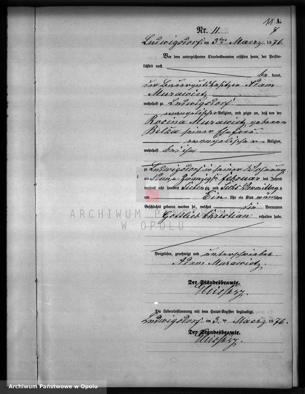 image.from.unit.number "Geburts-Neben-Register Standesamts Ludwigsdorf pro 1876"