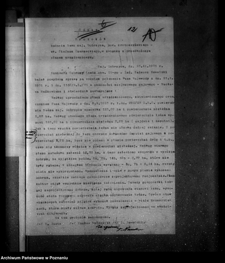 image.from.unit.number "Majętność leśna Dobrzyca powiat krotoszyński"