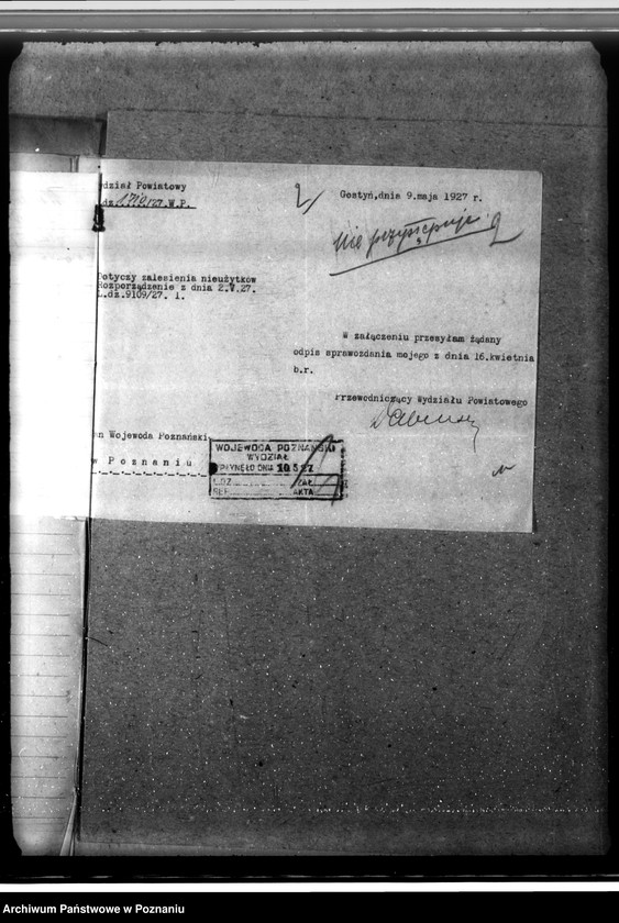 Obraz 6 z jednostki "Zalesienie nieużytków w powiecie gostyńskim"