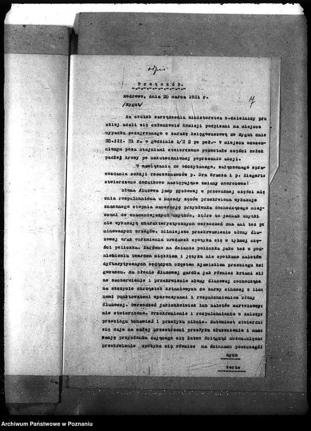 Obraz 11 z jednostki "Księgosusz - Kościerzyna"