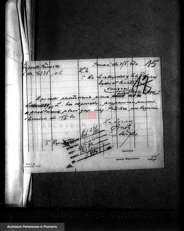 Obraz 19 z jednostki "Majętność leśna Potulice powiat wągrowiecki"