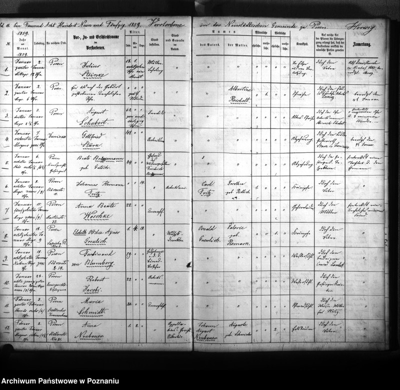 Obraz 14 z jednostki "Verstorbenenbuch"