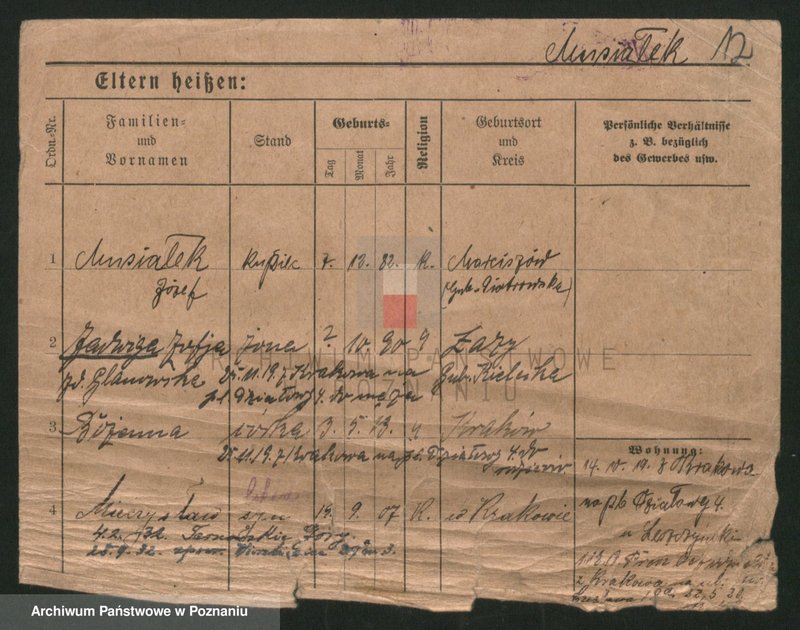 Obraz 12 z jednostki "Musiała - Muskieta"