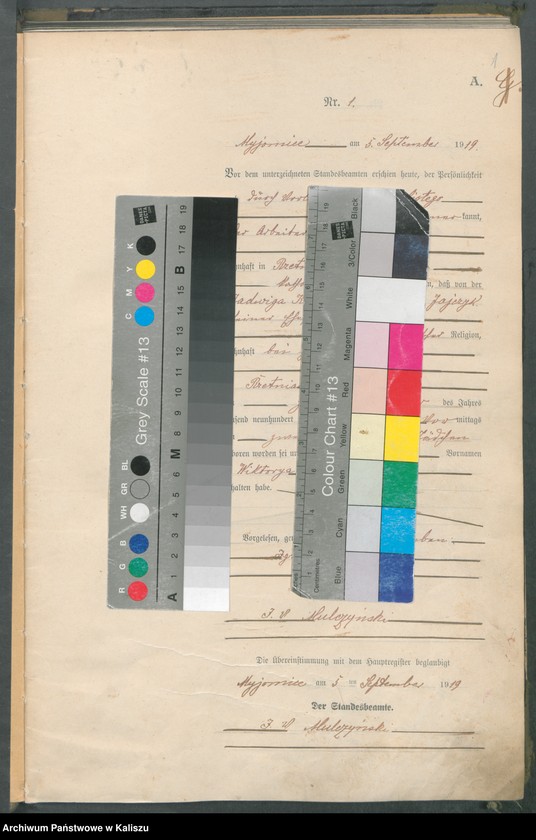 image.from.unit.number "Rejestr urodzeń (główny) - tom I"