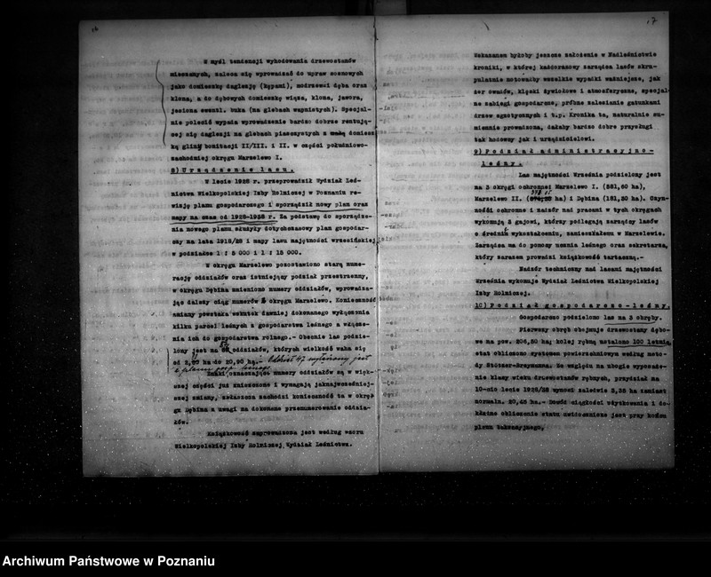 Obraz 13 z jednostki "Ogólny opis lasu majętności Września (plan cięć i plan urządzenia gospodarstwa leśnego)"