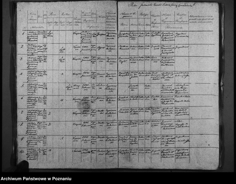 Obraz 5 z jednostki "Duplicatum baptisatorum, copulatorum, mortuorum"