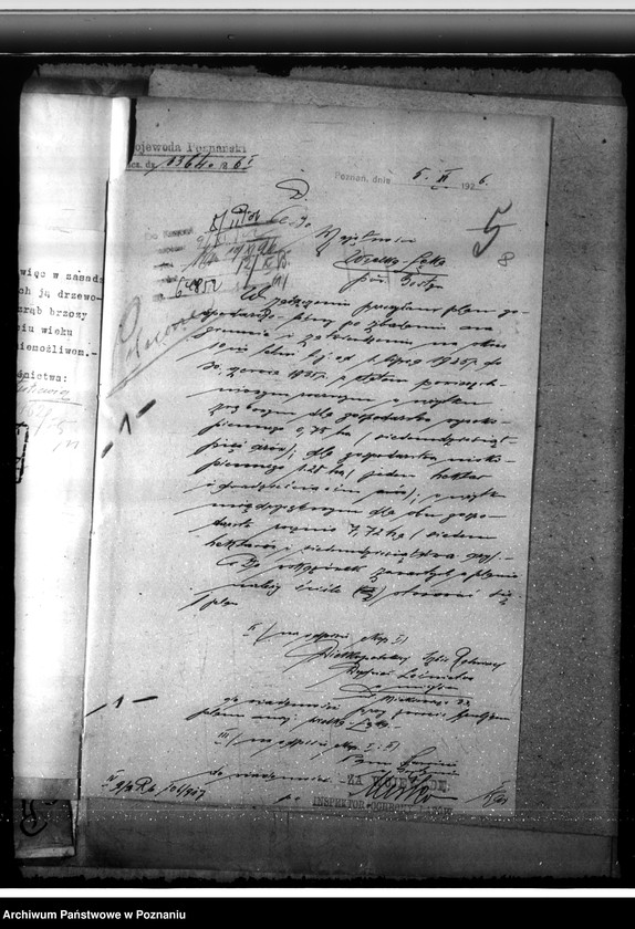 Obraz 12 z jednostki "Majętność leśna Łąka Wielka"