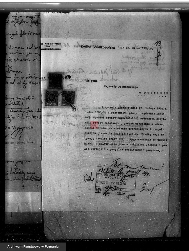 Obraz 17 z jednostki "Nadzór nad gospodarką w lasach majętności Kobylniki powiat kościański"