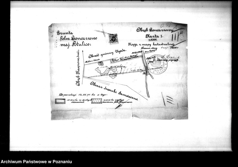 Obraz 16 z jednostki "Majętności Potulice powiatu bydgoskiego przymusowy wykup"