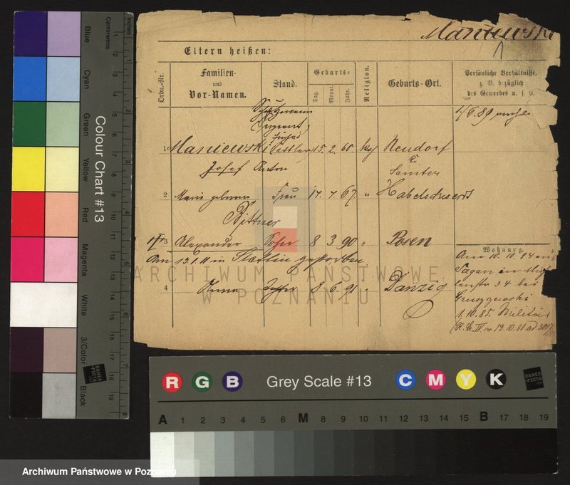 Obraz 3 z jednostki "Mangliers - Mansfelska"