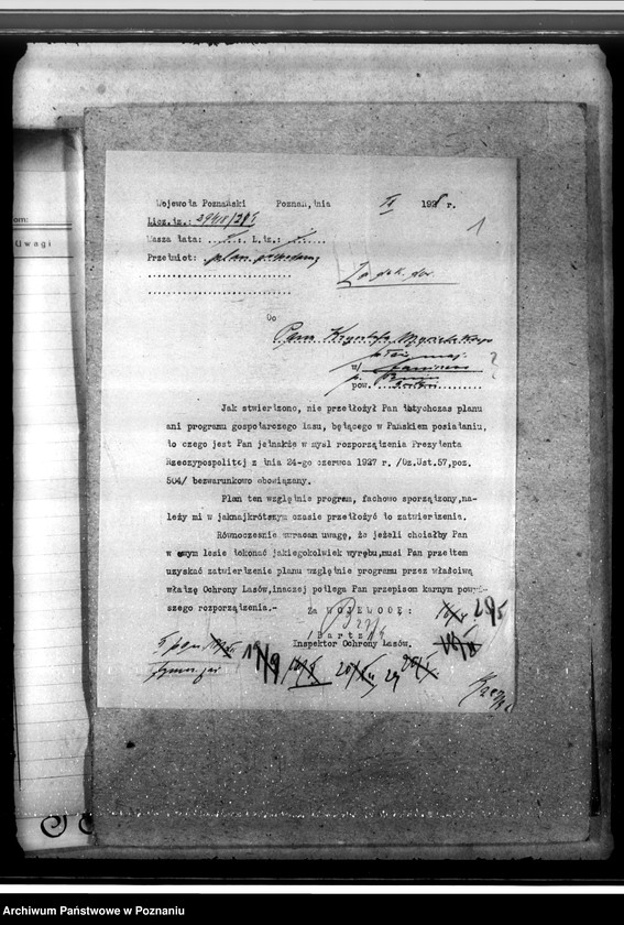 Obraz 5 z jednostki "Lasy majętności Wydawy w powiecie gostyńskim"