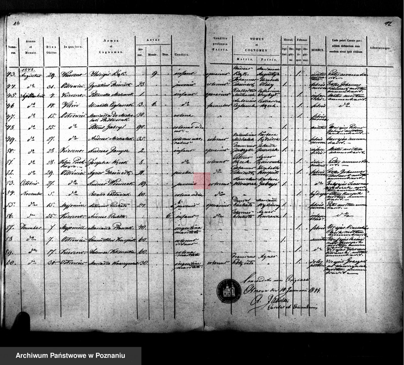 Obraz 10 z jednostki "Duplikat baptisatorum, copulatorum, mortuorum"