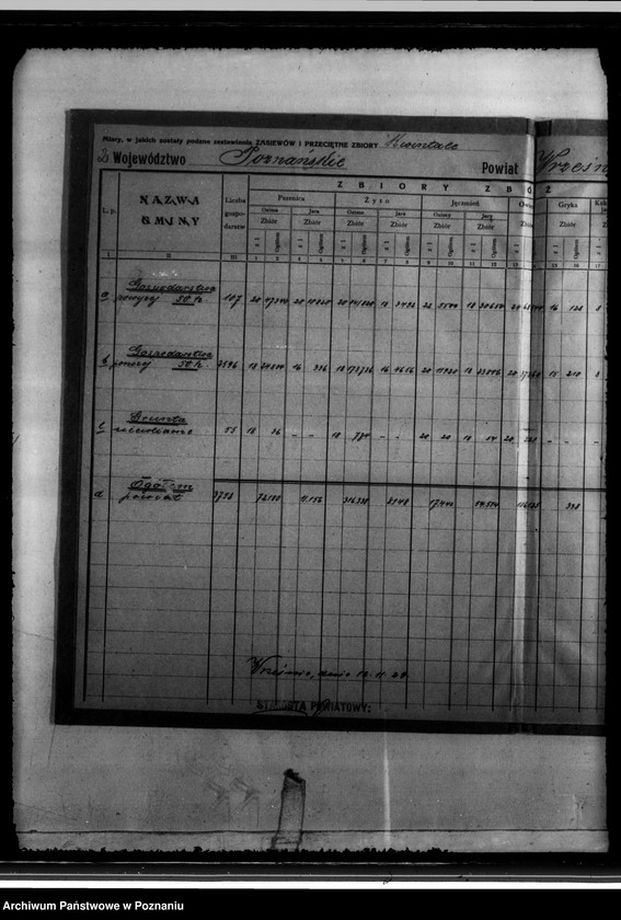 Obraz 6 z jednostki "/Statystyka produkcji rolnej - zestawienie powiatowe - Września/"