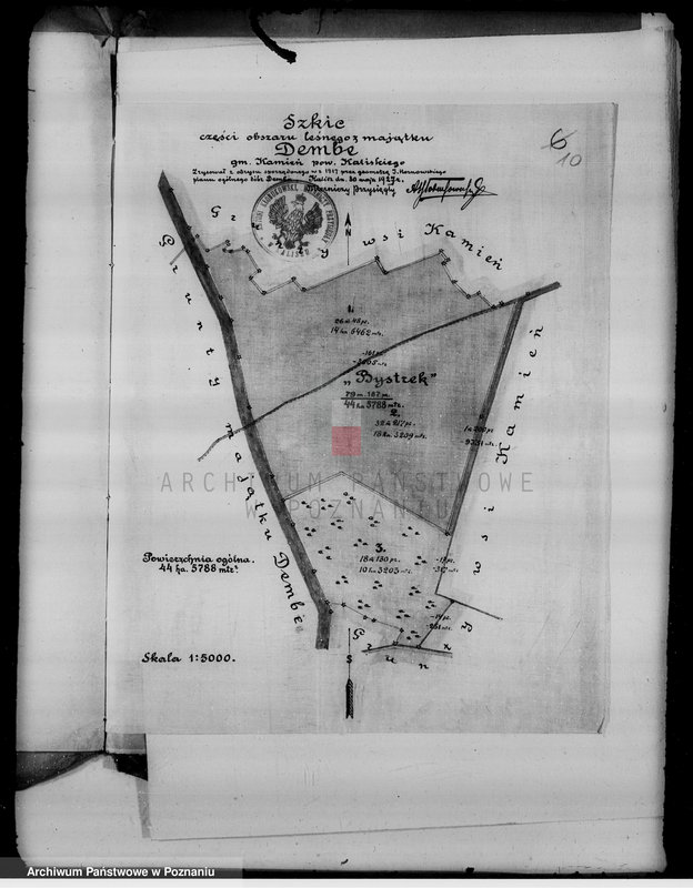 Obraz 14 z jednostki "Sprawy zmiany rodzaju użytkowania gruntów leśnych majątku Dębe w powiecie kaliskim"
