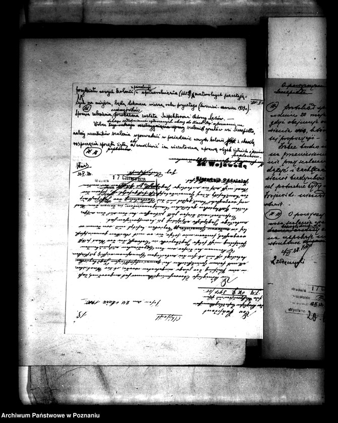 Obraz 14 z jednostki "Scalenie gruntów wsi Szczepidło powiatu konińskiego"