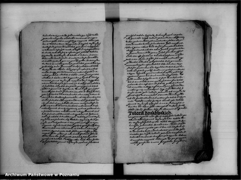 Obraz 18 z jednostki "Inscriptiones, relationes [inducta]"