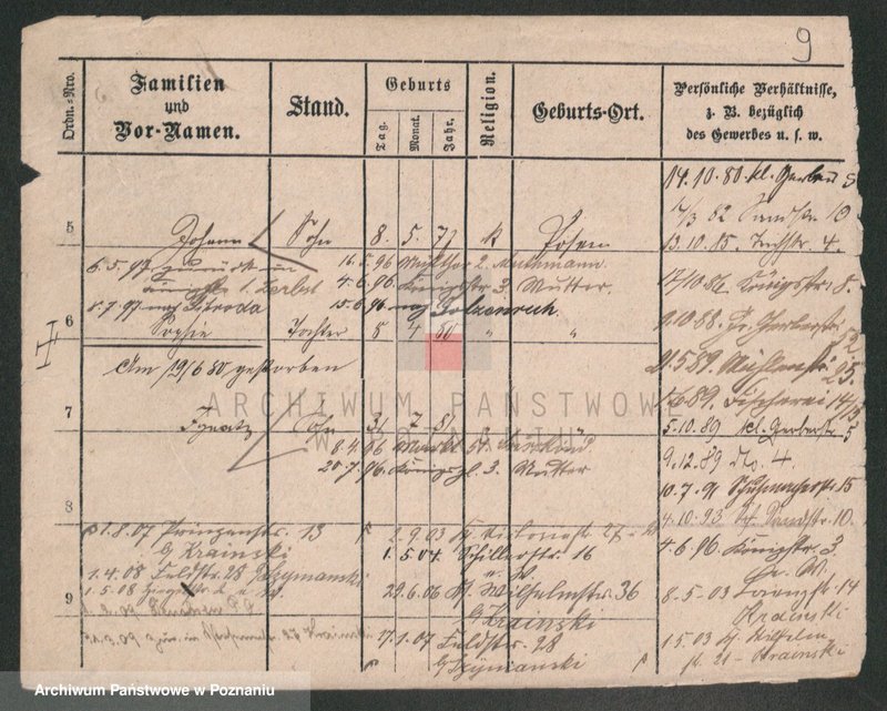 Obraz 9 z jednostki "Krajger - Krajkowski"