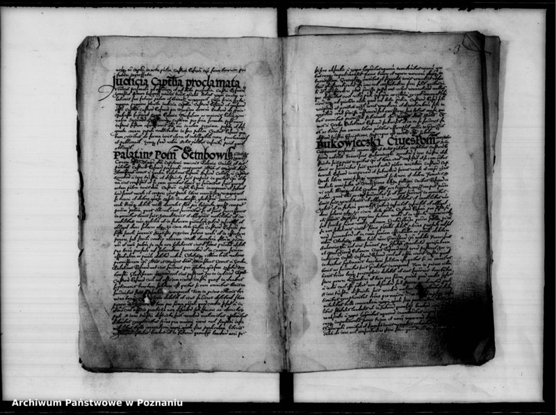 Obraz 6 z jednostki "Inscriptiones, relationes [inducta]"