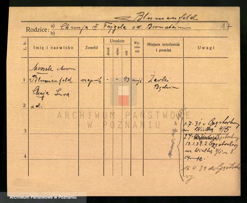 Obraz 18 z jednostki "Blumenau - Boch"