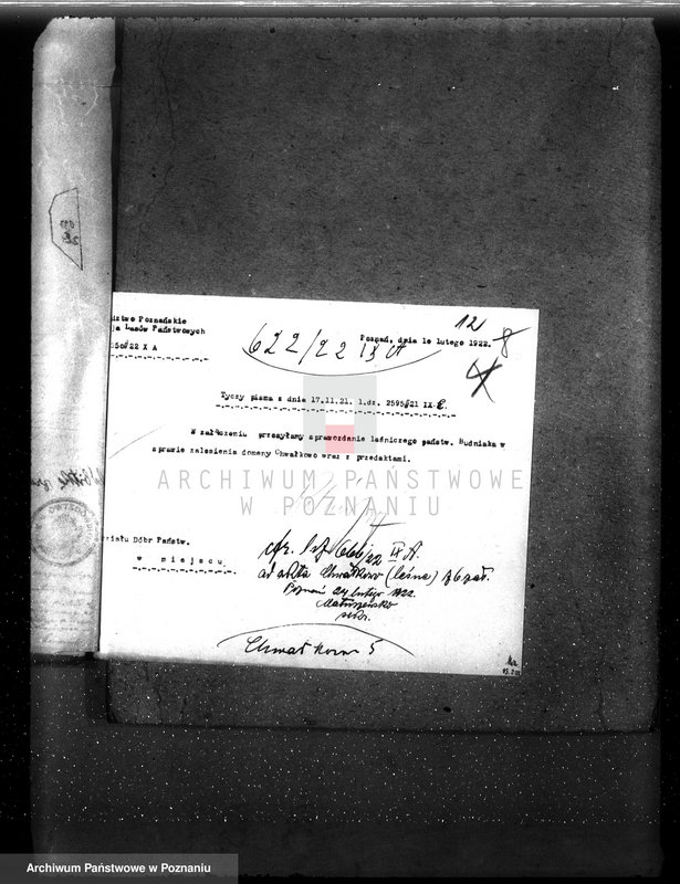 Obraz 17 z jednostki "Drzewostan na majątku państwowym Chwałkowo powiat średzki"