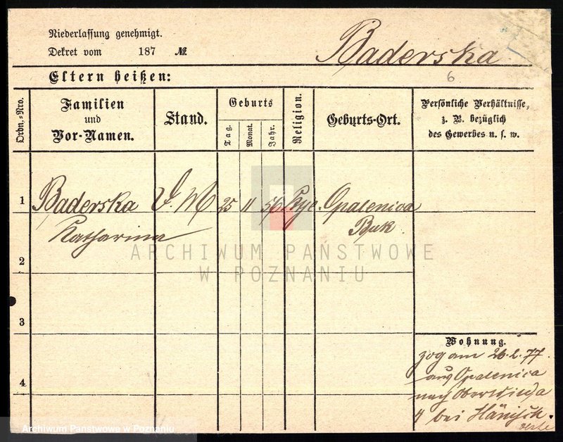 Obraz 8 z jednostki "Baczkowski - Bajdzyński"