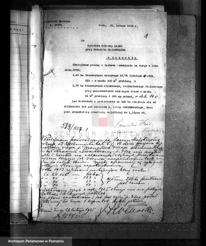 Obraz 5 z jednostki "Majętność leśna Brodowo powiat średzki"