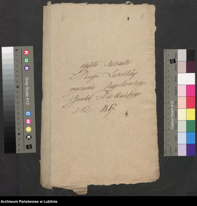 Obraz z jednostki "Alegaty do księgi urodzeń, zapowiedzi, małżeństw i zgonów z 1817 r."