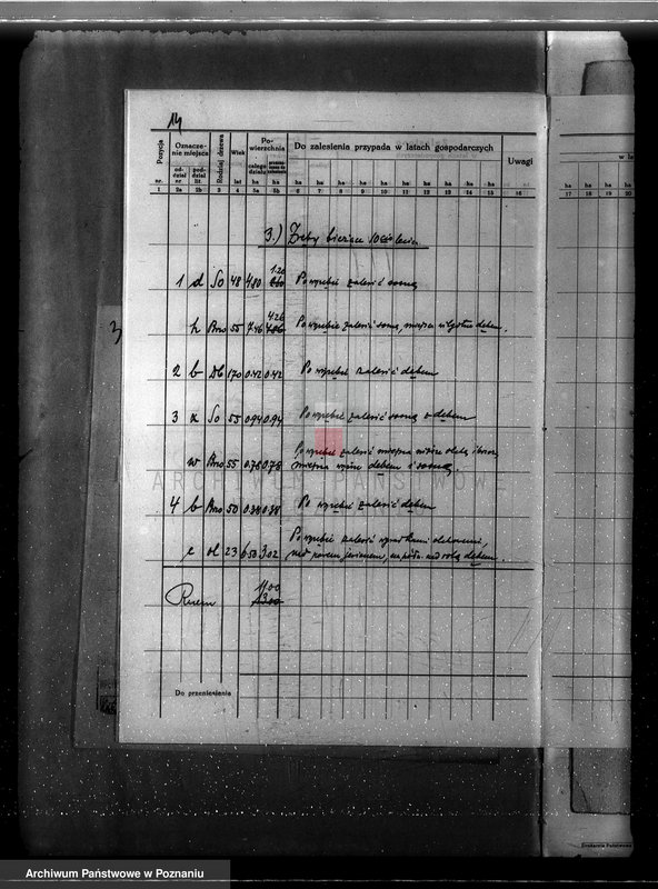 Obraz 18 z jednostki "Program urządzania gospodarstwa leśnego dla lasu klasztoru O.O Benedyktynów w Lubiniu powiat kościański"