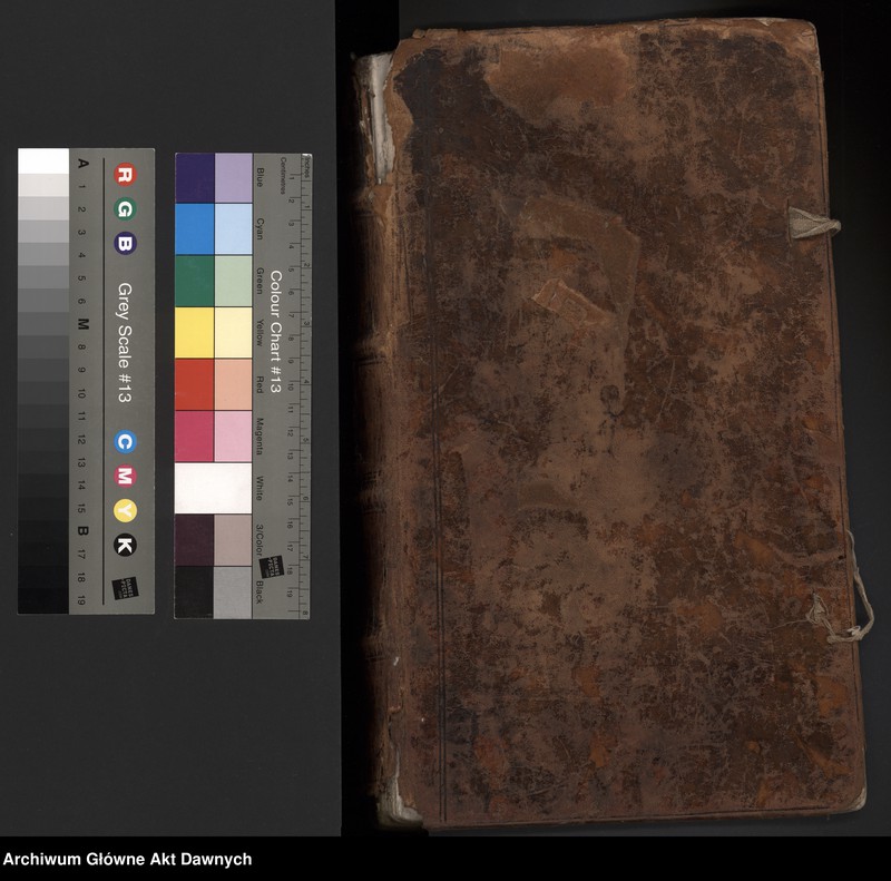 image.from.unit.number "Rejestry poborowe woj. płockiego."