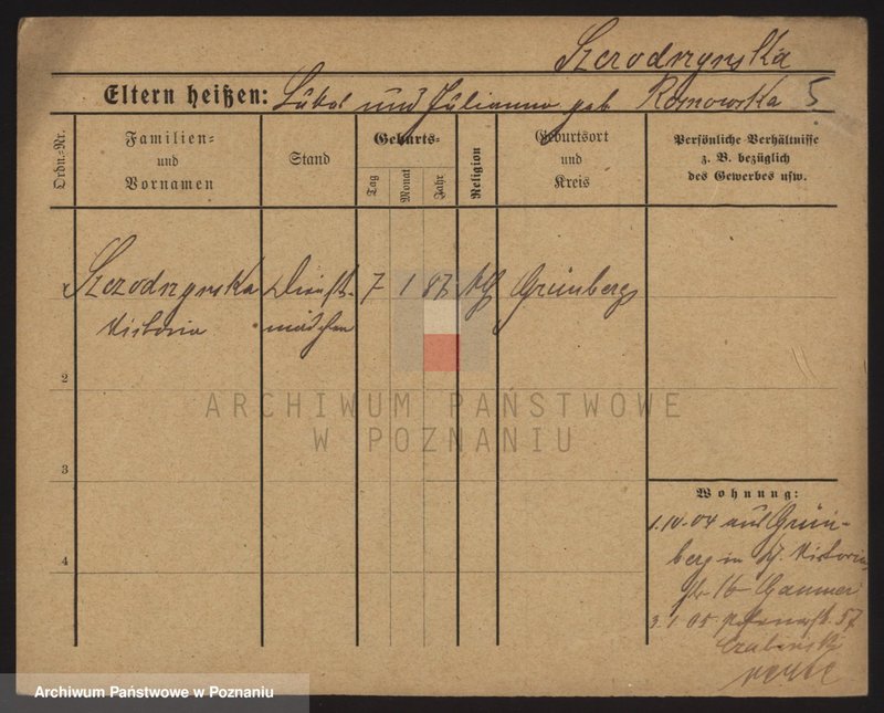 Obraz 13 z jednostki "Szczodrzyński - Szefer (żony i wdowy)"