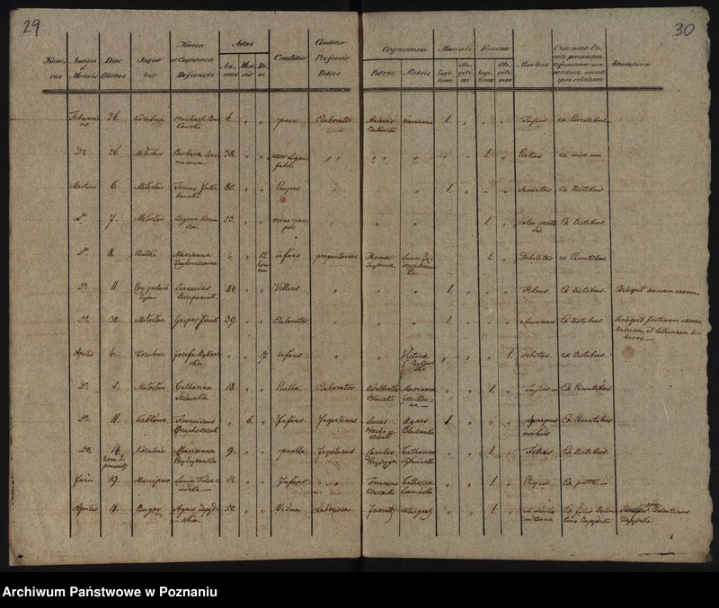 Obraz 19 z jednostki "Libri Metrices Baptisatorum, Copulatorum, Mortuorum"