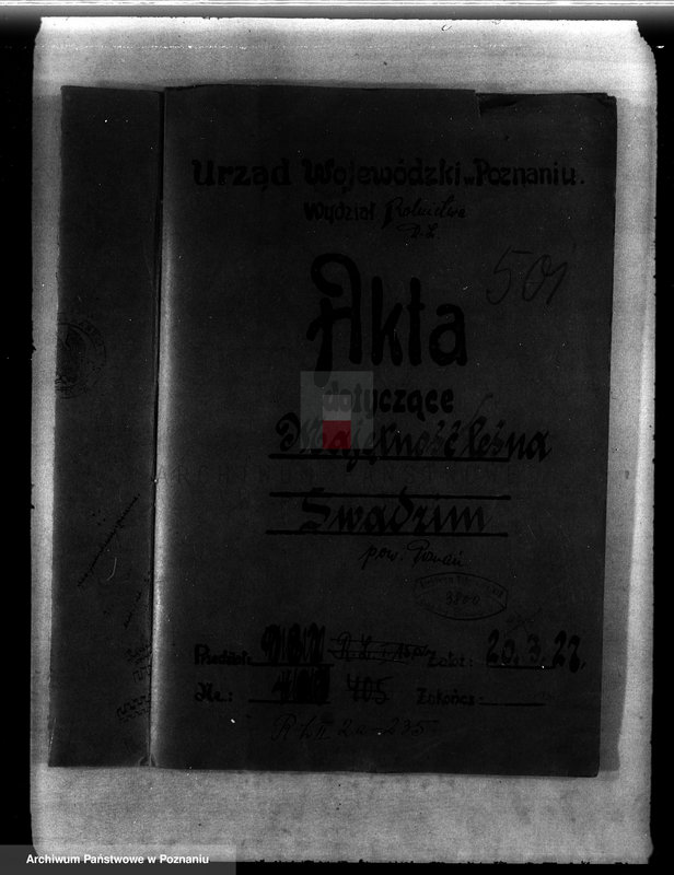 Obraz 4 z jednostki "Majętność leśna Swadzim powiat poznański"