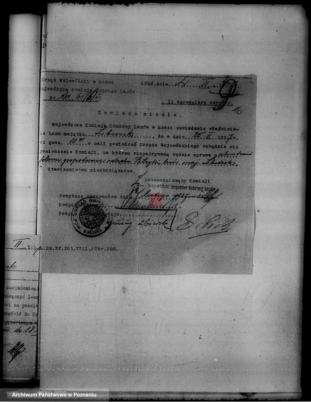 Obraz 20 z jednostki "Lustracja lasu majątku Zbiersk i Petryki powiatu kaliskiego oraz zatwierdzenie uzupełnienia planu gospodarstwa leśnego"